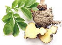 VIETNAM KONJAC POWDER FOR VEGAN, GLUTEN-FREE - NATURAL DIETARY FIBER SUPPLEMENT