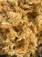 DRIED GOLD/ PURPLE/ WHITE/ SPINOSUM SEA MOSS WITH SALT/ SALT-FREE FROM VIETNAM - NATURAL SEAWEED FOR HEALTH BENEFITS