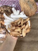 GOLDEN COCONUT BITES / TROPICAL FLAVOR / HEALTHY CHOICE / MADE IN VIETNAM
