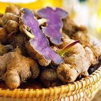 PREMIUM DRIED VIETNAM BLACK GINGER ROOT FOR HEALTHY TEA, COOKING