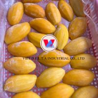 FROZEN VIETNAM MANGO CUBE - TOP QUALITY - DELICIOUS AND HEALTHY SNACK