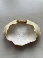 ECO-FRIENDLY CRAB SHELL / VIETNAMESE SEAFOOD BYPRODUCT / MADE IN VIETNAM