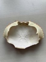 WHOLESALE CRAB SHELL FOR CHICKEN FEED/ HIGH-QUALITY CRAB SHELL EXPORTER
