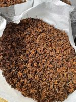 HIGH-QUALITY STAR ANISE / WHOLESALE FROM VIETNAM / BEST PRICE / MADE IN VIETNAM