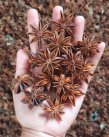 VIETNAM STAR ANISE WHOLESALE / FRESH & AROMATIC / BEST PRICE / MADE IN VIETNAM