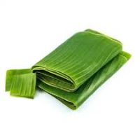 PREMIUM FROZEN BANANA LEAF / ORGANIC / AFFORDABLE / MADE IN VIETNAM