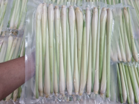 FRESH FROZEN LEMONGRASS / NATURAL / BUDGET-FRIENDLY / MADE IN VIETNAM