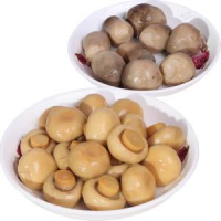 GOURMET CANNED MUSHROOMS / HAND-PICKED AND PRESERVED / MADE IN VIETNAM