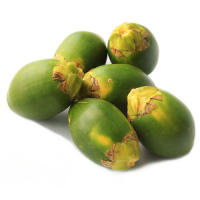 FROZEN ARECA / READY FOR EXPORT AND PREMIUM USE / MADE IN VIETNAM