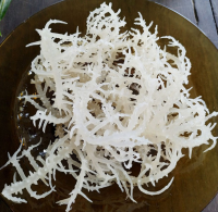 PREMIUM SEA MOSS JAM / PASSION FRUIT-INFUSED FOR A TROPICAL TWIST / MADE IN VIETNAM