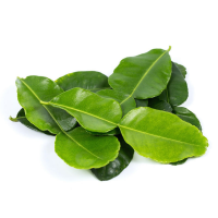 ORGANICALLY SOURCED FROZEN LEMON LEAF FOR RECIPES & TEAS / EXCEPTIONAL QUALITY / BUY NOW AT GREAT PRICE / MADE IN VIETNAM