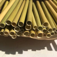 PLASTIC-FREE SEAGRASS DRINKING STRAW / SAFE FOR YOU AND THE PLANET / MADE IN VIETNAM