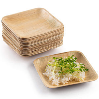 DISPOSABLE PALM PLATE / GREAT FOR ECO-FRIENDLY EVENTS / MADE IN VIETNAM