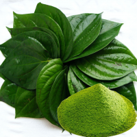 PURE BETEL LEAF POWDER / NATURAL AND AROMATIC / MADE IN VIETNAM