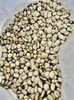 PREMIUM TAMARIND SEEDS / NATURAL AND NUTRIENT-RICH / MADE IN VIETNAM
