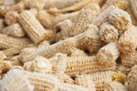DRIED CORN COB / EXCELLENT FOR SMALL ANIMAL CHEWS / MADE IN VIETNAM
