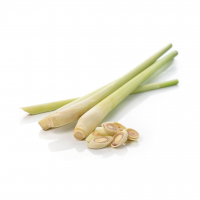 PREMIUM FROZEN LEMONGRASS / FRESHLY PRESERVED FLAVOR / MADE IN VIETNAM