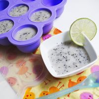 ORGANIC DRAGON FRUIT PUREE / AUTHENTIC AND HEALTHY / MADE IN VIETNAM