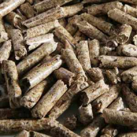 ORGANIC BAGASSE PELLETS / BIOFUEL MADE FROM SUGARCANE WASTE / MADE IN VIETNAM