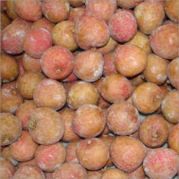 PREMIUM FROZEN LYCHEE / PERFECTLY PRESERVED TROPICAL FLAVOR / MADE IN VIETNAM