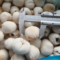 ALL-NATURAL FROZEN LYCHEE / AUTHENTIC TASTE OF THE TROPICS / MADE IN VIETNAM