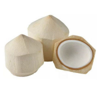 NATURAL FRESH YOUNG COCONUT WATER / TOP GRADE / COMPETITIVE PRICE / MADE IN VIETNAM