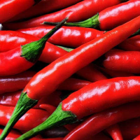 HAND-PICKED FRESH CHILI / BURSTING WITH SPICE / MADE IN VIETNAM