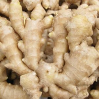 HIGH-QUALITY FRESH GINGER / SPICE UP YOUR DISHES / MADE IN VIETNAM