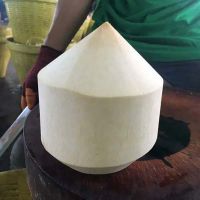 FRESH DIAMOND CUT COCONUT / PURE &amp;amp; REFRESHING / MADE IN VIETNAM