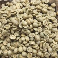 PREMIUM ROBUSTA COFFEE BEANS S16-18 / RICH AROMA AND FLAVOR / MADE IN VIETNAM