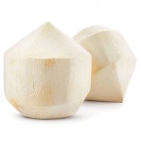 PREMIUM DIAMOND CUT COCONUT / CRISPY &amp; NATURAL / MADE IN VIETNAM