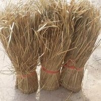 NATURAL SEAGRASS THATCH ROOF / ECO-FRIENDLY COVERING / MADE IN VIETNAM