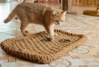 COCONUT COIR MAT FOR PETS / DURABLE AND ECO-FRIENDLY / MADE IN VIETNAM