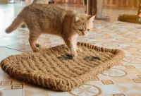 COCONUT COIR PET PAD / SAFE, NATURAL, AND BIODEGRADABLE / MADE IN VIETNAM