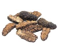 ALL-NATURAL DRIED NONI / NUTRITIOUS & READY TO USE / MADE IN VIETNAM