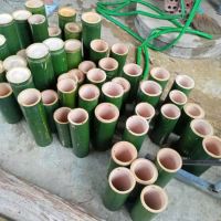 NATURAL BAMBOO TUBE / ECO-FRIENDLY AND VERSATILE / MADE IN VIETNAM