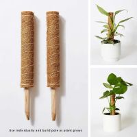 COIR MOSS GROWTH POLE / NATURAL AID FOR CLIMBING PLANTS / MADE IN VIETNAM