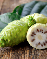 ORGANIC FRESH NONI FRUIT / NUTRITIOUS SUPERFOOD / MADE IN VIETNAM