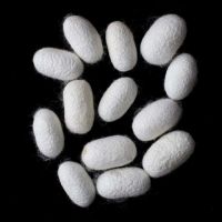 PREMIUM SILK COCOONS / NATURAL EXFOLIATION / MADE IN VIETNAM