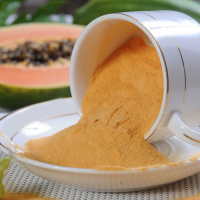 ORGANIC PAPAYA POWDER / RICH IN ENZYMES & VITAMINS / COST-EFFECTIVE BULK SUPPLY / MADE IN VIETNAM 