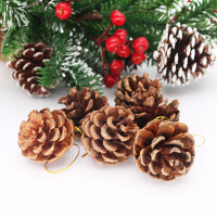 NATURAL DRIED PINE CONES / PERFECT FOR HOME DECOR AND CRAFTS / MADE IN VIETNAM