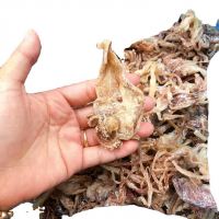 DELICIOUS DRIED SQUID HEAD / PREMIUM SEAFOOD SNACK / ECONOMICAL BULK OPTIONS / MADE IN VIETNAM 