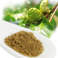 PREMIUM DRIED NONI POWDER / ORGANIC SUPERFOOD FOR HEALTH / BEST BULK PRICES / MADE IN VIETNAM