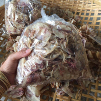 TENDER DRIED SQUID HEAD / FRESH SEA TASTE / COMPETITIVE PRICING FOR WHOLESALE / MADE IN VIETNAM 