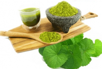 100% NATURAL CENTELLA ASIATICA POWDER / VEGAN & GLUTEN-FREE / LARGE ORDER DISCOUNTS / MADE IN VIETNAM 