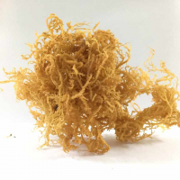 ALL-NATURAL SEA MOSS POWDER / RAW AND SUSTAINABLY SOURCED / MADE IN VIETNAM