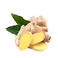 ORGANIC GINGER ROOT / NATURAL AND AROMATIC / MADE IN VIETNAM