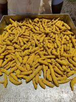 HIGH-QUALITY TURMERIC FINGER / RICH IN CURCUMIN / MADE IN VIETNAM