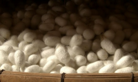 NATURAL FIBER COCOON / FOR BEAUTY, CRAFT, AND COMFORT / MADE IN VIETNAM