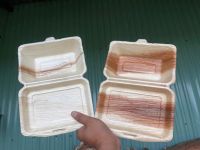 ECO BOX FROM BAGASSE AND ARECA SHELLS / SUSTAINABLE & BIODEGRADABLE / MADE IN VIETNAM